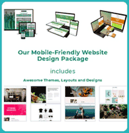 Website Design Solutions