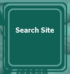 search ​site